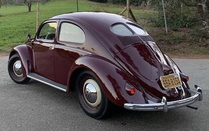 1950 Max Hoffman split window beetle