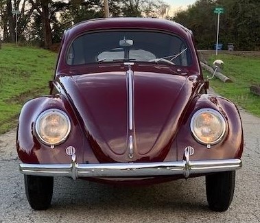 1950 Max Hoffman split window beetle